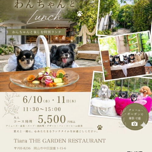 🐾わんちゃんLunch開催のお知らせ- ̗̀📣